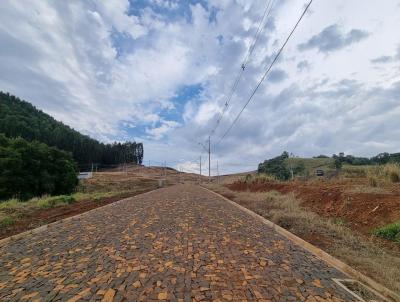 Loteamento para Venda, em Vitorino, bairro Azulo