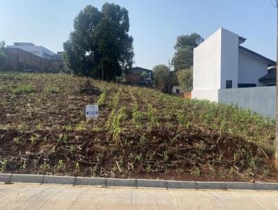 Terreno para Venda, em Vitorino, bairro So Cristvo