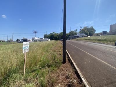 Terreno para Venda, em Vitorino, bairro Fornari