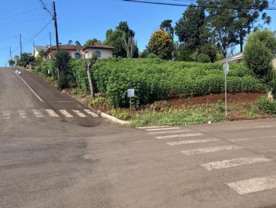 Terreno para Venda, em Vitorino, bairro Centro