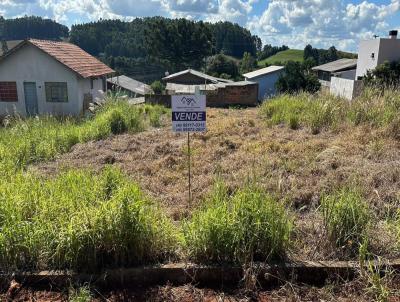 Terreno para Venda, em Vitorino, bairro Centro