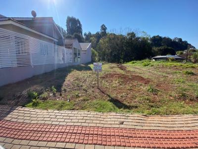 Terreno para Venda, em Vitorino, bairro Centro