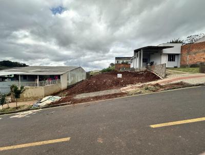 Terreno para Venda, em Vitorino, bairro Gobatto