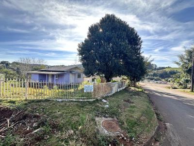 Terreno para Venda, em Vitorino, bairro Centro