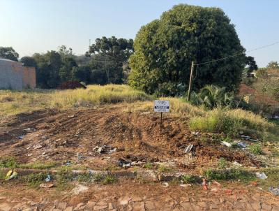 Terreno para Venda, em Vitorino, bairro Centro