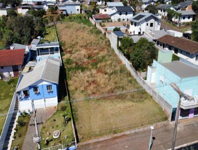 Terreno para Venda, em Vitorino, bairro Centro