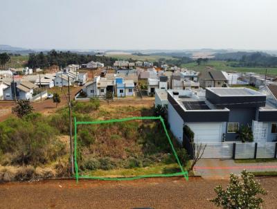 Terreno para Venda, em Vitorino, bairro Araucria Park