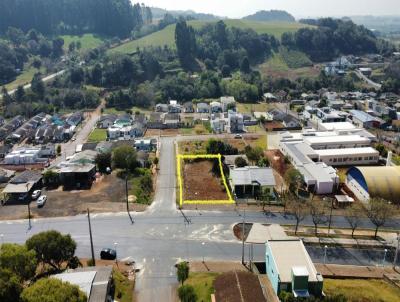 Terreno para Venda, em Vitorino, bairro Centro