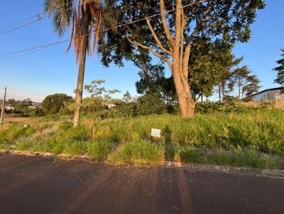 Terreno para Venda, em Coronel Vivida, bairro Loteamento Alegria