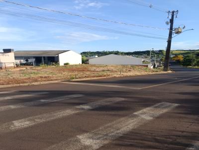 Terreno para Venda, em Pato Branco, bairro 