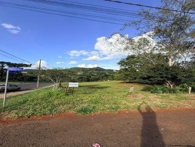 Terreno para Venda, em Vitorino, bairro 