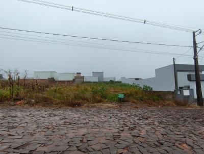 Terreno para Venda, em Vitorino, bairro Arauc�ria Park